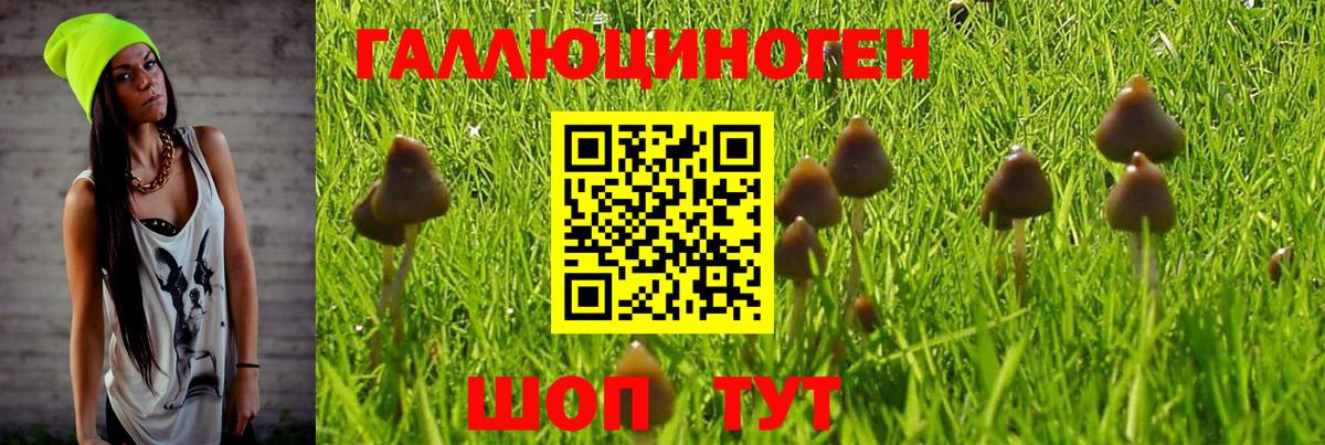 Галлюциногенные грибы ЛСД  наркотики  Волоколамск  Вход с VPN  Псилоцибиновые грибы мухоморы 